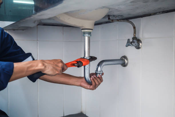 Best Local Plumber Services  in North Lynnwood, WA